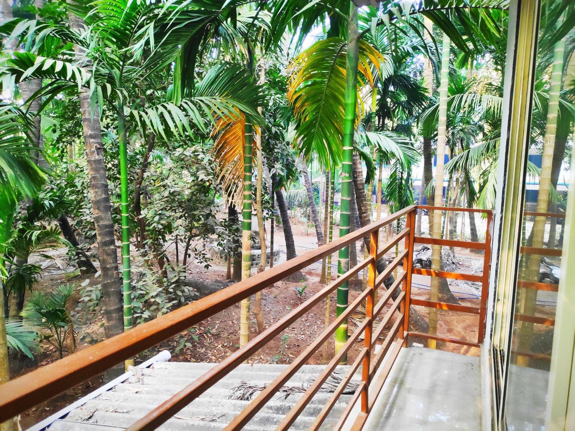 Ashish Baug Cottage Алибаг Стая снимка